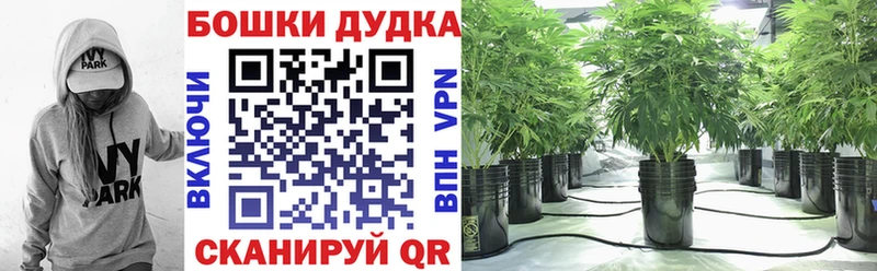 MEGA ONION  купить наркотики цена  Нестеровская  Шишки марихуана White Widow 